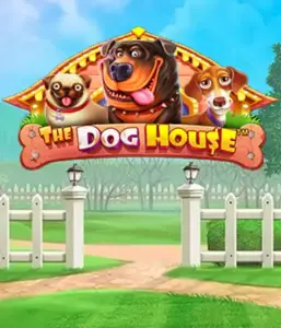 Experience Pragmatic Play's The Dog House adventure, bringing you a delightful experience through charming canines. Engage in gameplay elements including sticky wilds, designed for providing exciting wins. Perfect for those who enjoy a lighthearted atmosphere alongside lucrative rewards.